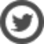 twitter-icon